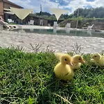 Madre Terra Narni