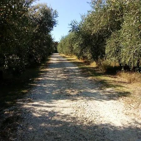 Madre Terra
