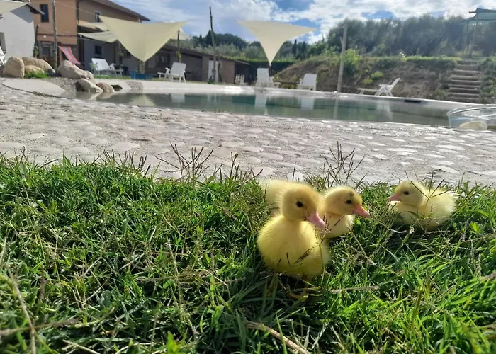 Madre Terra Нарни